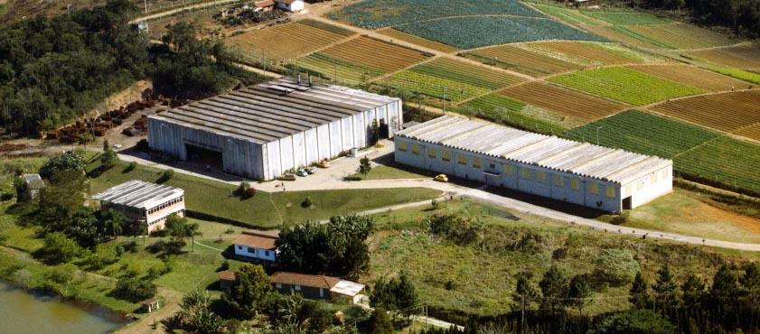Niagara Celebra 75 Anos